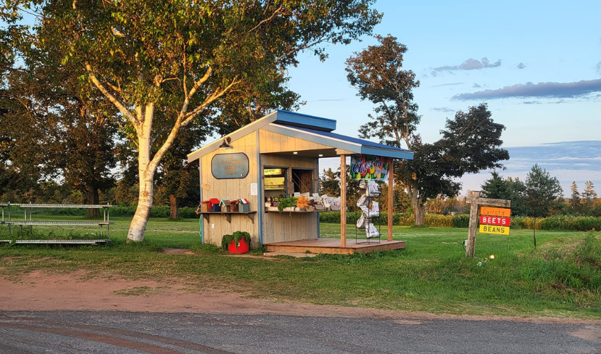 The Awesome Veggie Stand